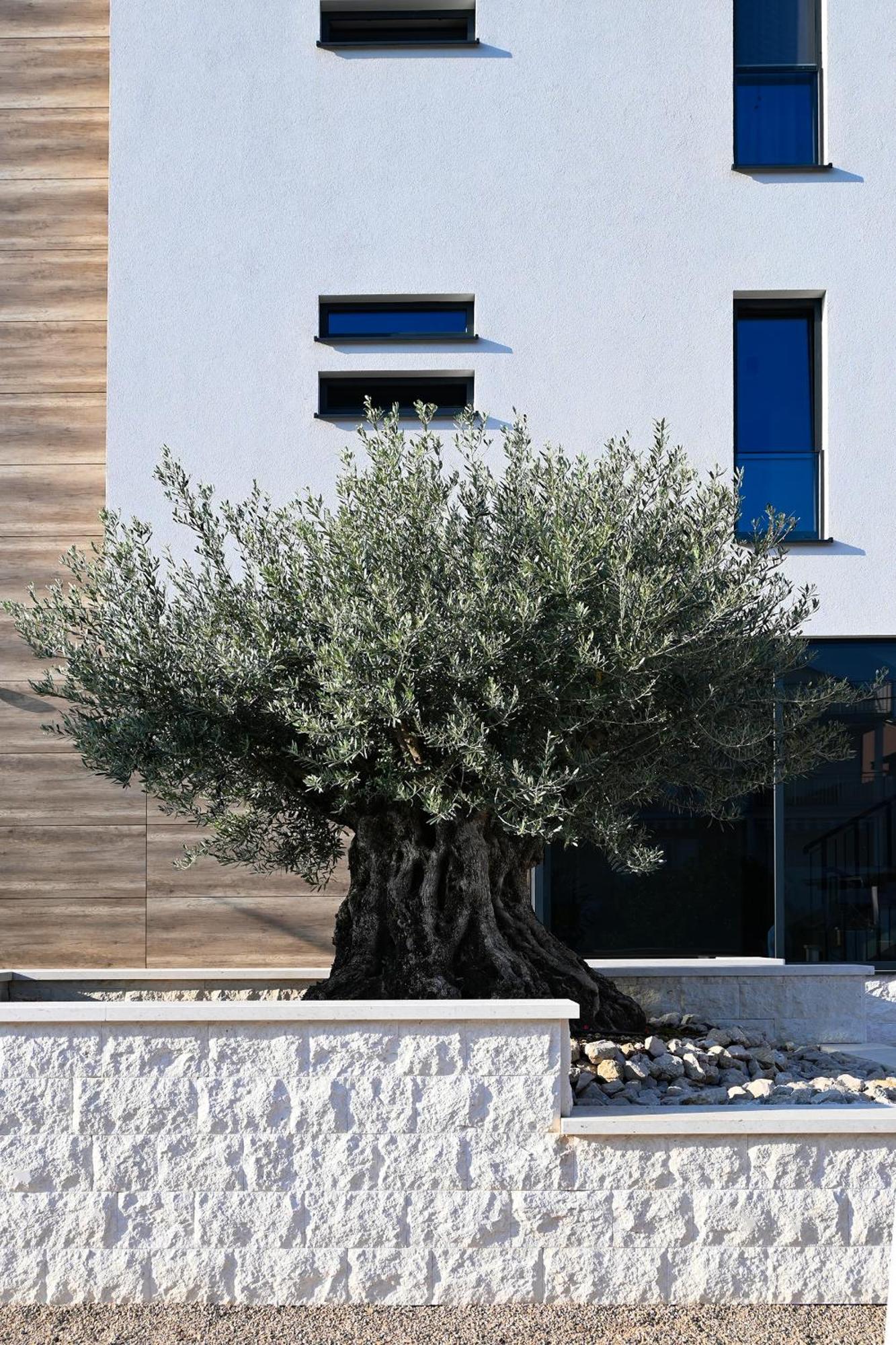 Spacious In Biograd With Sea View Apartma Biograd Na Moru